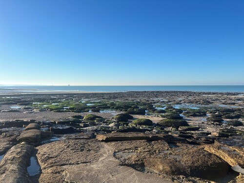 Fisherman's house, single storey, enclosed garden, 50m from the sea,