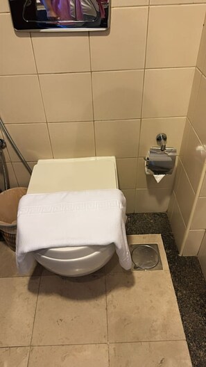 Haartrockner, Handtücher