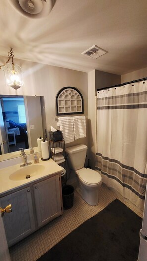 Hair dryer, towels, soap, toilet paper - The Hideaway: Perfect Place for a Nice Getaway with lots of Fun and Relaxation! (Southfield)