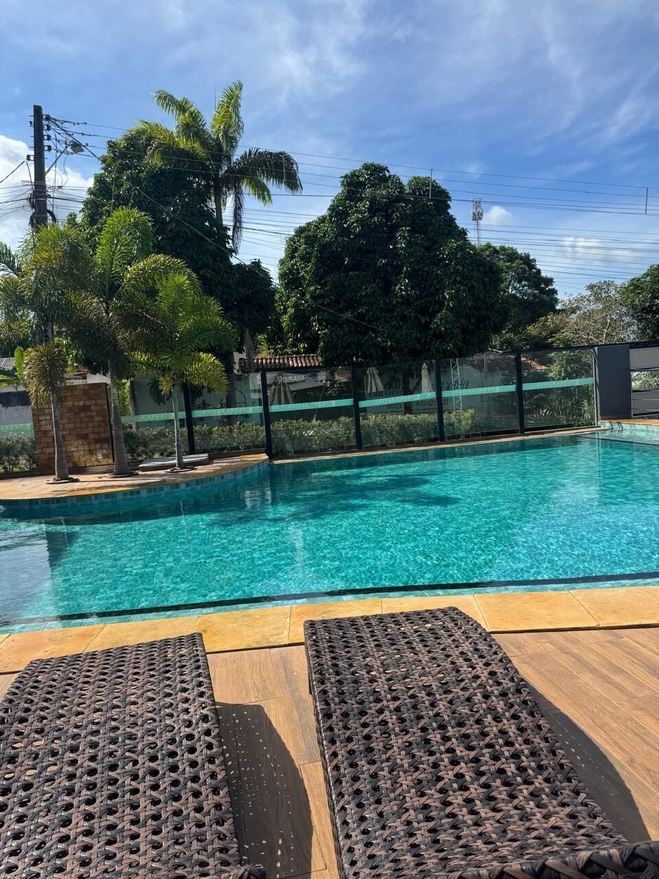A swimming pool with clear water, surrounded by palm trees and a fence.