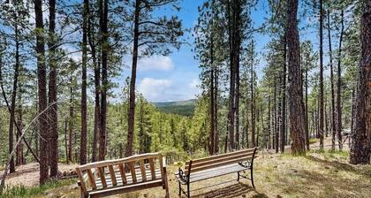 Spacious and secluded home with mountain views, gas grill, decks & home office