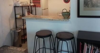 CHAK--Spacious 1-bedroom apartment in Centro with WiFi, great work space!