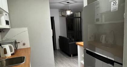 Nice Apartment in Downtown - Close to everything!