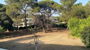 A fenced outdoor area with dry grass, several trees, and a building in the background. - Duplex 6 pers 55m2 with swimming pool and sea nearby (Saint-Raphaël)