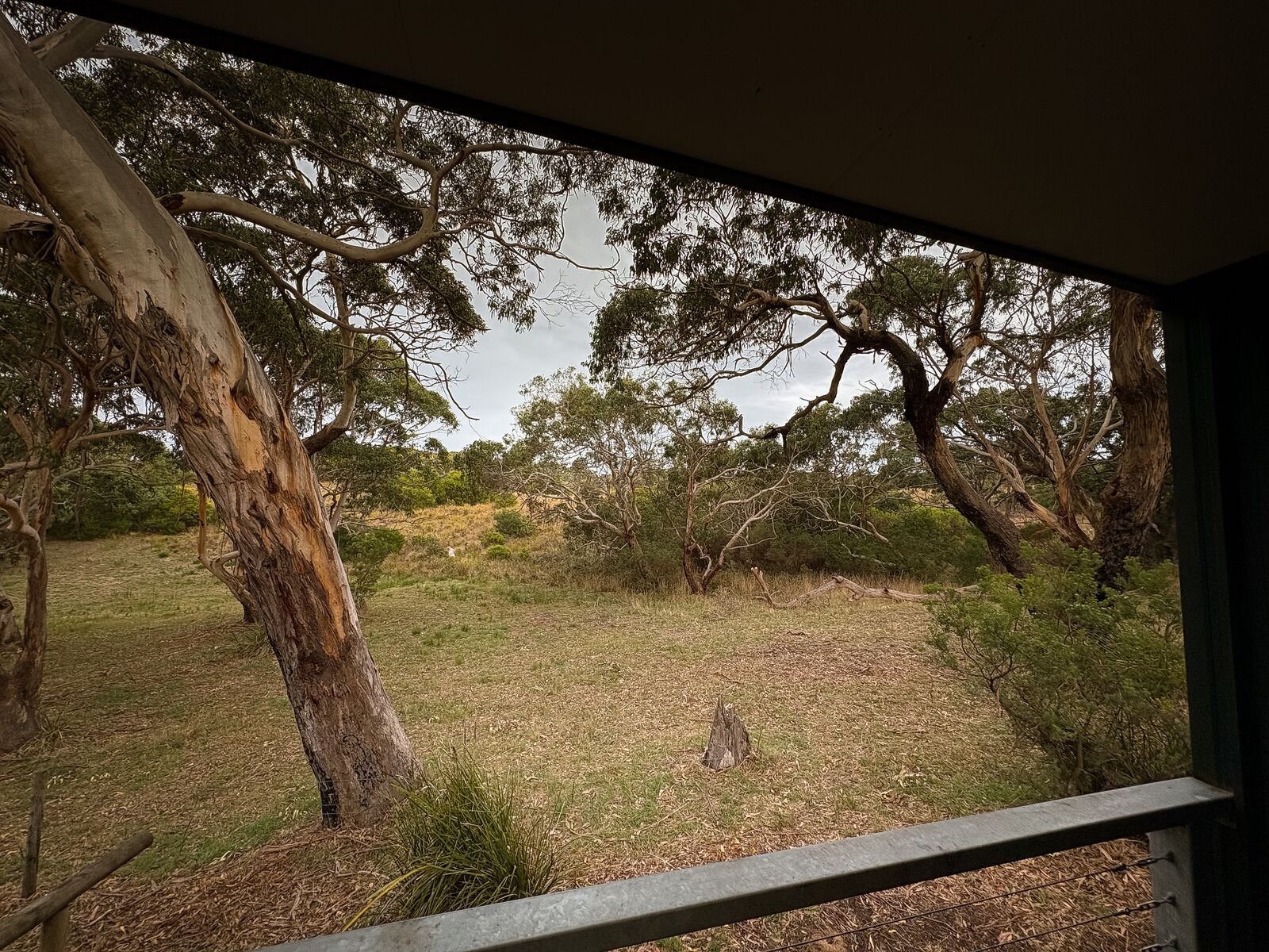 Vista dalla struttura