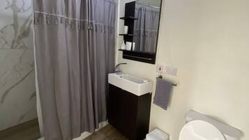 Une salle de bain équipée d’une douche, d’un lavabo, de toilettes et d’un miroir.