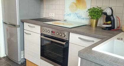 Modern apartment by the castle park