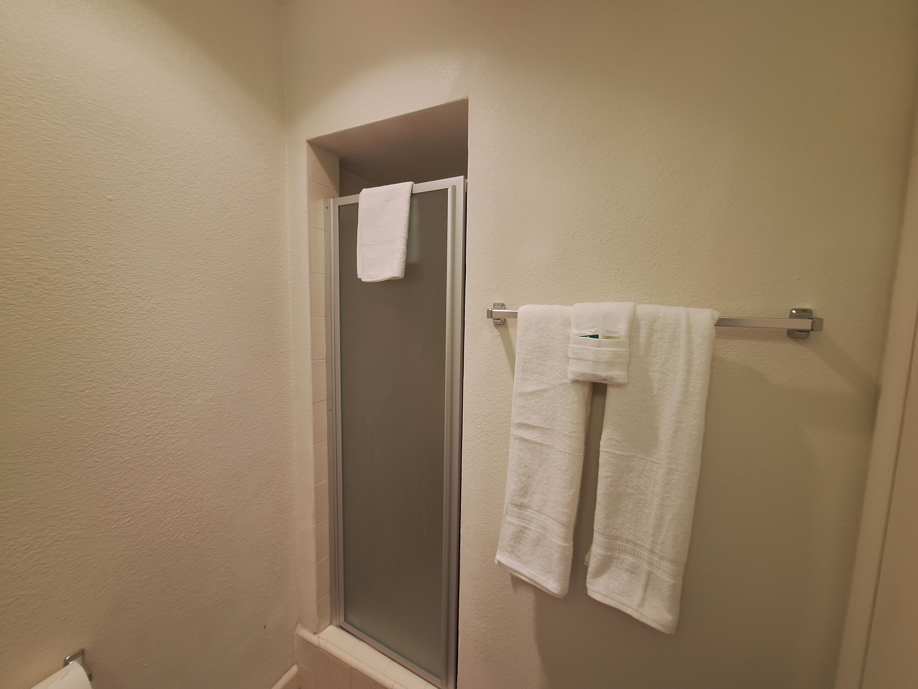 A bathroom with a glass shower door, a towel rack with two towels, and a toilet paper holder.