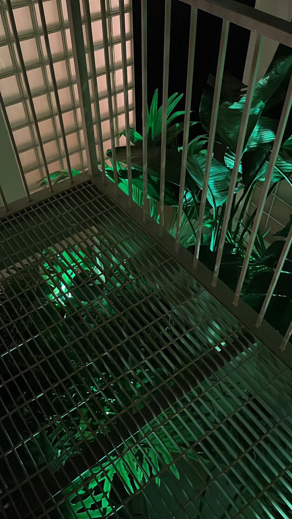 Una habitación con piso de rejilla metálica y plantas iluminadas con luz verde.
