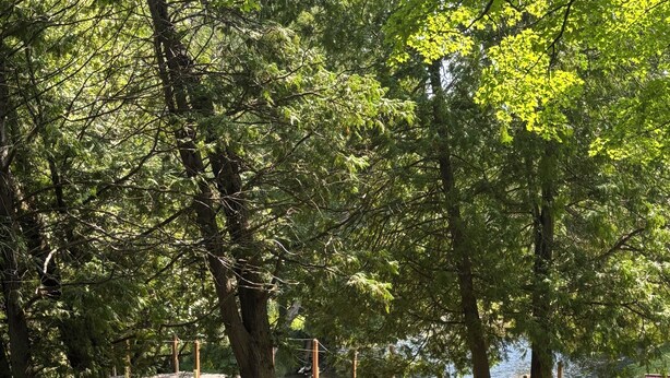 A wooden dock extending over a calm body of water, surrounded by lush green trees and grassy areas. - Rapid River Retreat! Home sleeps 6, garage, fire pit (Rapid City)