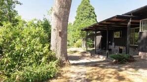 Un espace extérieur abrité, doté d’un chemin en pierre menant à un bâtiment à l’extérieur sombre et aux grandes fenêtres.
