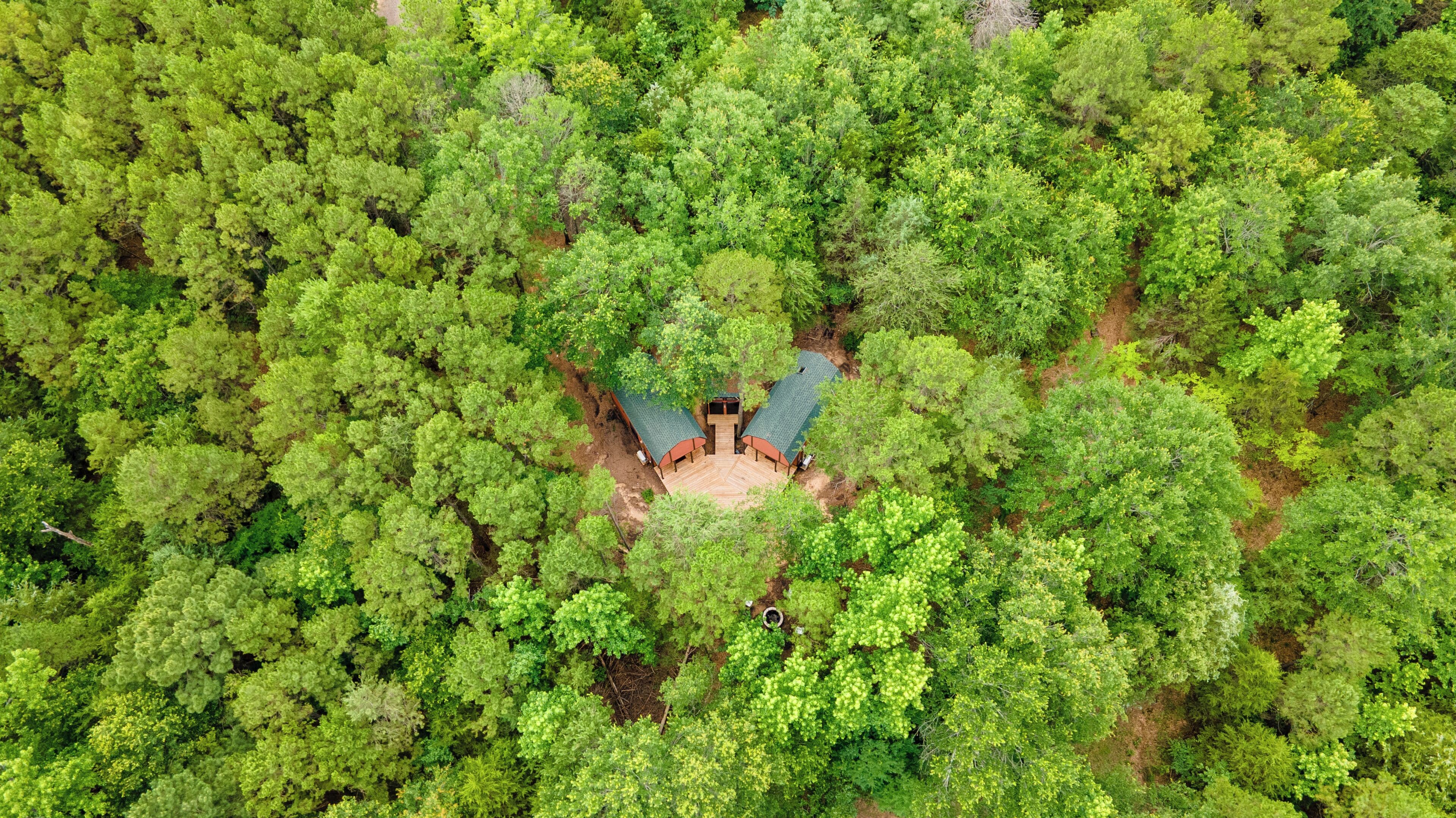 An aerial view of a forested area with a central clearing featuring a wooden deck and two structures with green roofs.