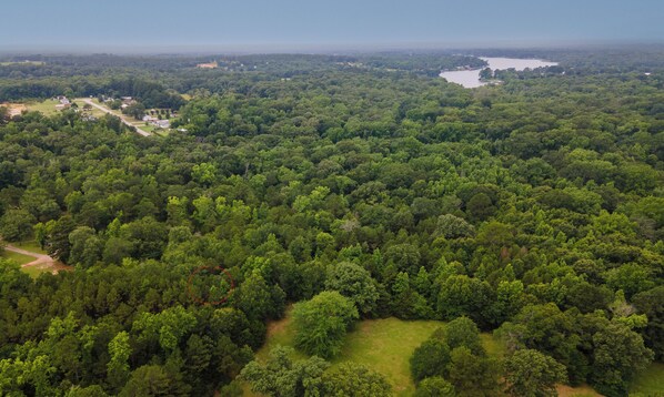 Vista aérea de un bosque denso con un pequeño claro y una masa de agua a lo lejos.