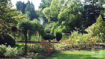 Áreas de la propiedad