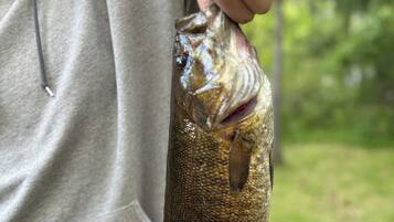 Une personne tenant un poisson.