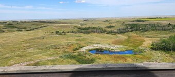 COTC: Log Cabin Glamping