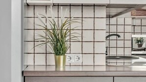 Une cuisine avec un mur recouvert de carreaux, une plante en pot, un évier en acier inoxydable et un four encastré.