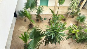 An outdoor area with various plants and a green door in the background. - Spacious bright apartment 300 m from the beach - tourist area - wifi (Mahdia)