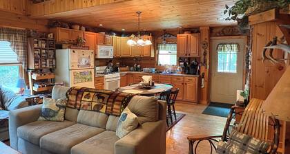3-bedroom cabin in heart of Greenville, WiFi, Roku, & snowmobile from driveway!