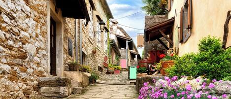 Áreas de la propiedad