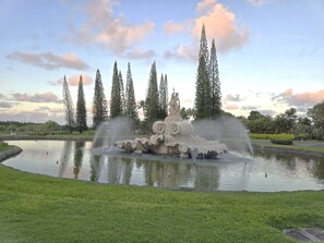 Terrain de l’hébergement 