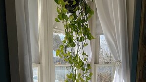 A cozy room with a window seat, white curtains, and a hanging plant. - Cozy Bed & Breakfast in Magical Eureka Springs with WiFi, AC -Sunset View Room (Eureka Springs)