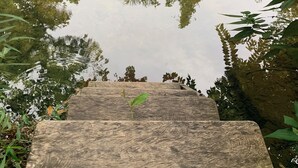 A wooden staircase leading down to a pond surrounded by greenery.
