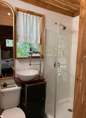 Shower, towels, toilet paper