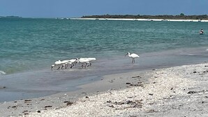A beach with white sand and calm water. - Beautiful 3/3 Island Retreat with Heated Pool, Dock & Private Boat Ramp. (Bokeelia)