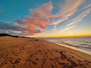 Nära stranden