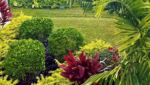 A coastal garden with a view of the ocean, featuring various tropical plants and a warning sign. - Charming oceanfront 2-bedroom condo with WiFi, AC, 2 Lanais, walk to beach! (Princeville)