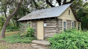 Une cabane rustique en rondins de bois, dotée d’une seule porte et d’une petite fenêtre, entourée d’une végétation luxuriante et d’un sol recouvert de feuilles.