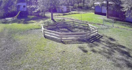 Charming 2-bedroom Tiny Home in Conroe with huge patio w/ grill & lots of space.
