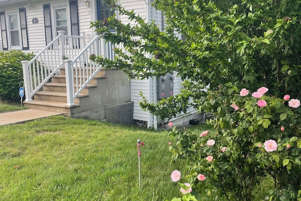 Àrea exterior de l'allotjament