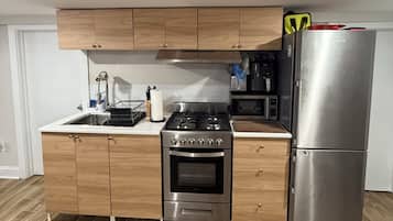 Frigorífico, microondas, horno y placa de cocina