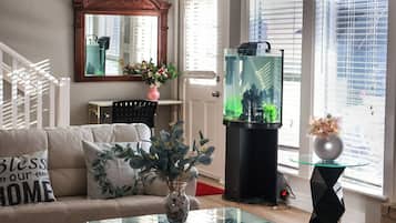Smart TV, fireplace, books