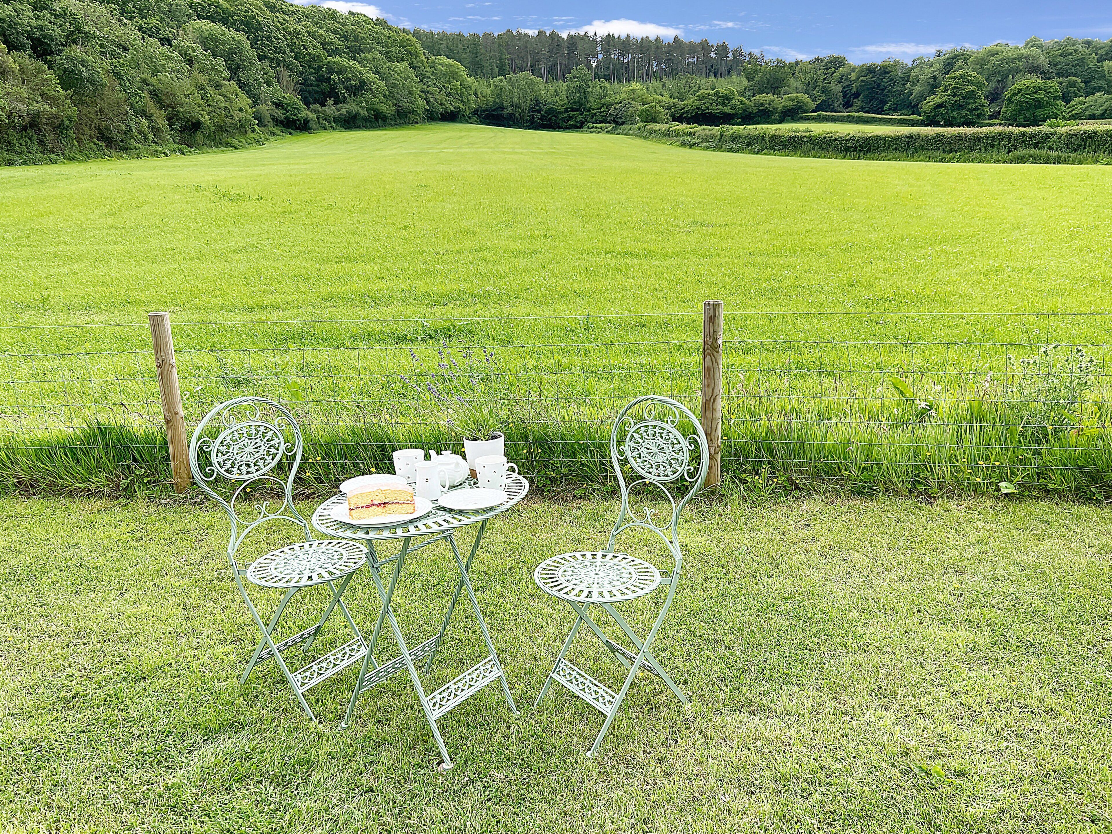Ein Tisch mit Stühlen und einer Torte auf einer Wiese mit einem Zaun.