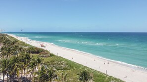 A beach with clear turquoise waters, palm trees, and a few people. - Welcome to Sunrise & Palm Trees! (Miami Beach)