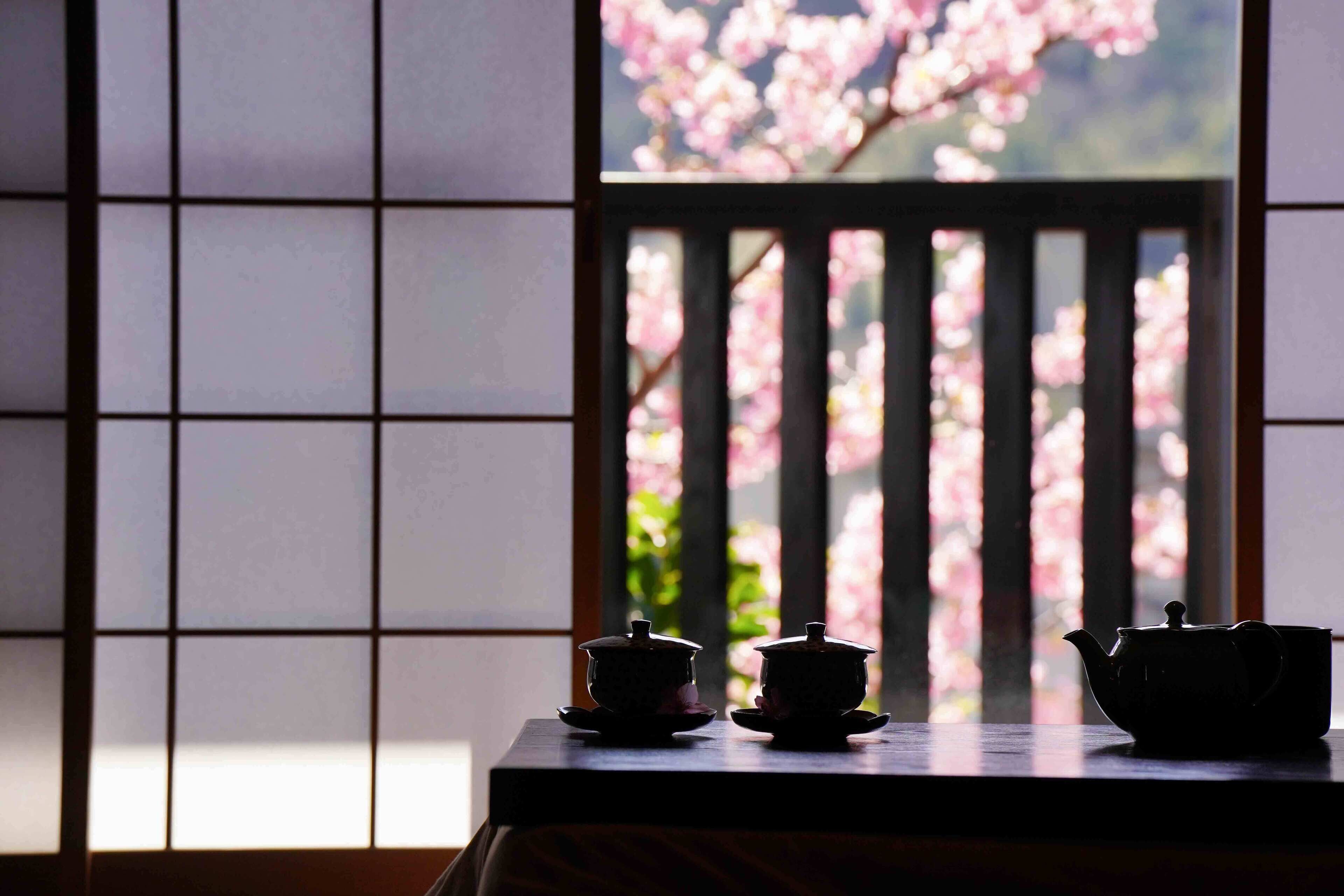 Een traditionele Japanse kamer met tatami vloeren, een schuifdeur met uitzicht op kersenbloesems en twee theeserviezen op een lage tafel.