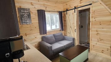 Smart-TV, Kamin