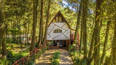 Los Naranjos Town Houses