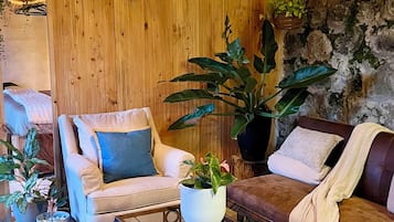 Smart TV 32 pulgadas con canales de televisión digitales, Netflix