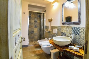 Shower, hair dryer, bidet, towels