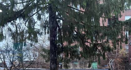 Upper Darby Studio Apartment w/WiFi, AC and a Private Deck.