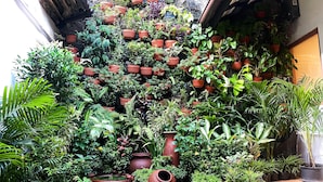 Un jardin vertical agrémenté de différentes plantes en pot et d’un grand pot en terre cuite.