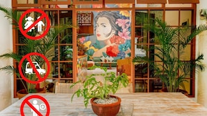 Une pièce avec une grande fenêtre, une plante en pot sur la table et un tableau au mur.