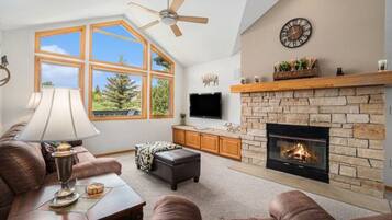 Smart TV, chimenea y reproductor de DVD