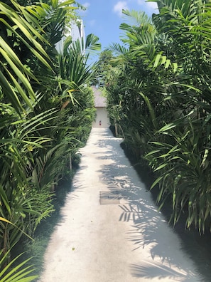Ngoại thất