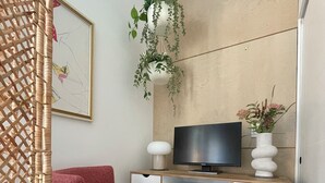 Une pièce avec un bureau en bois, une télévision, une chaise en osier, un tapis à motifs et une plante suspendue.