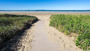 A sandy path leading to a beach with green vegetation on either side. - Welcome to - Family Tides! (Mulambin)